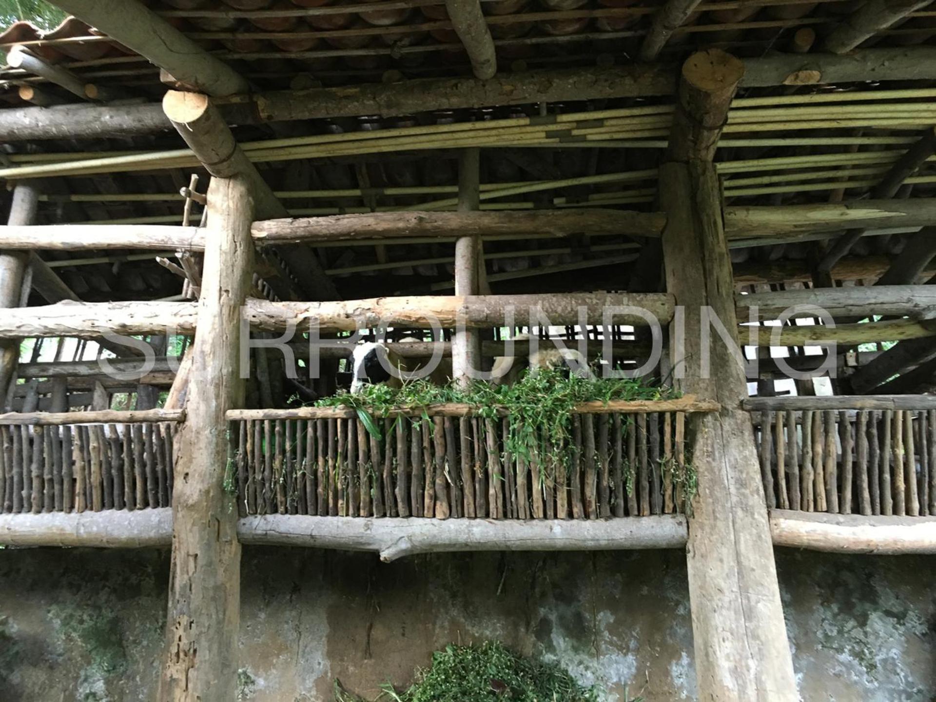 Rumah Lereng Bandung Eksteriør billede